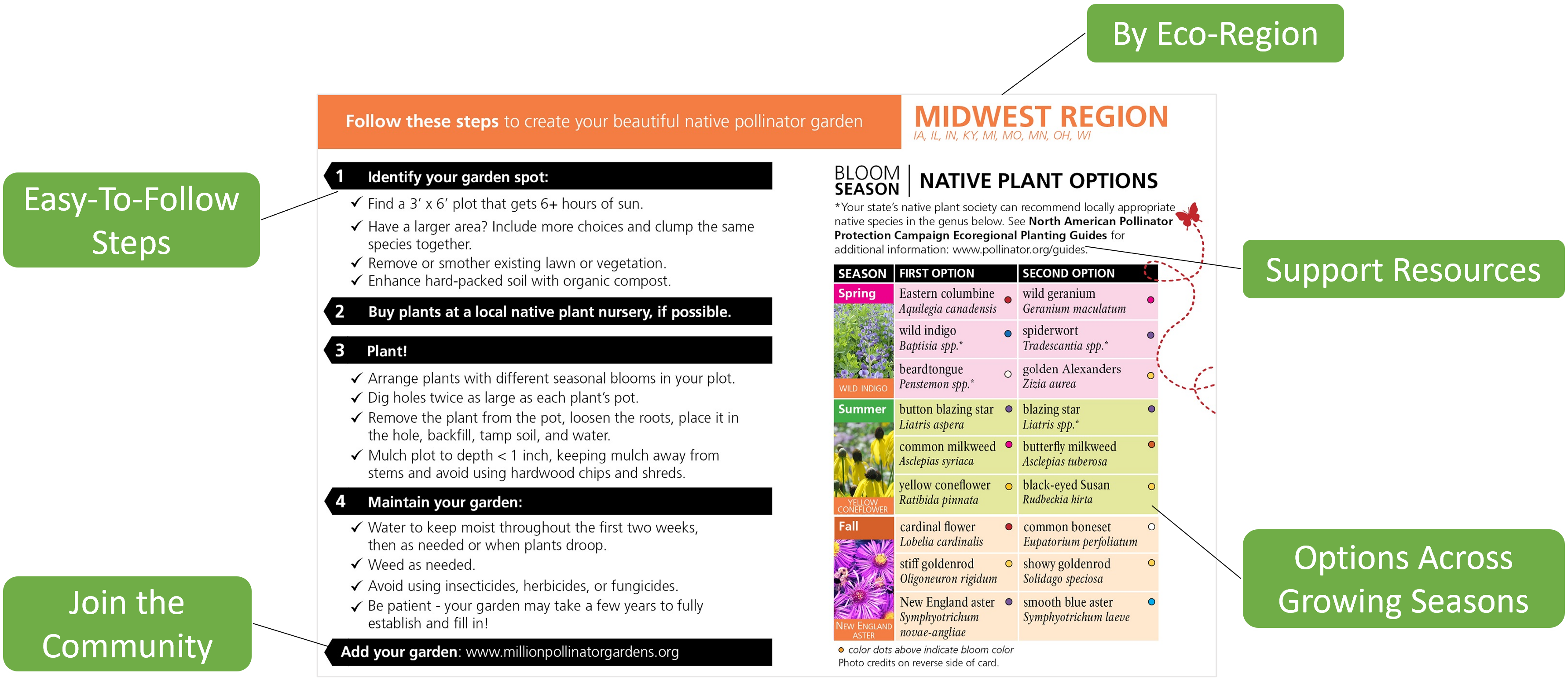 Pollinator Garden Cards Pollinator garden card of the midwest region with the following called out: "by eco-region, support resources, options across growing seasons, easy-to-follow steps, join the community"