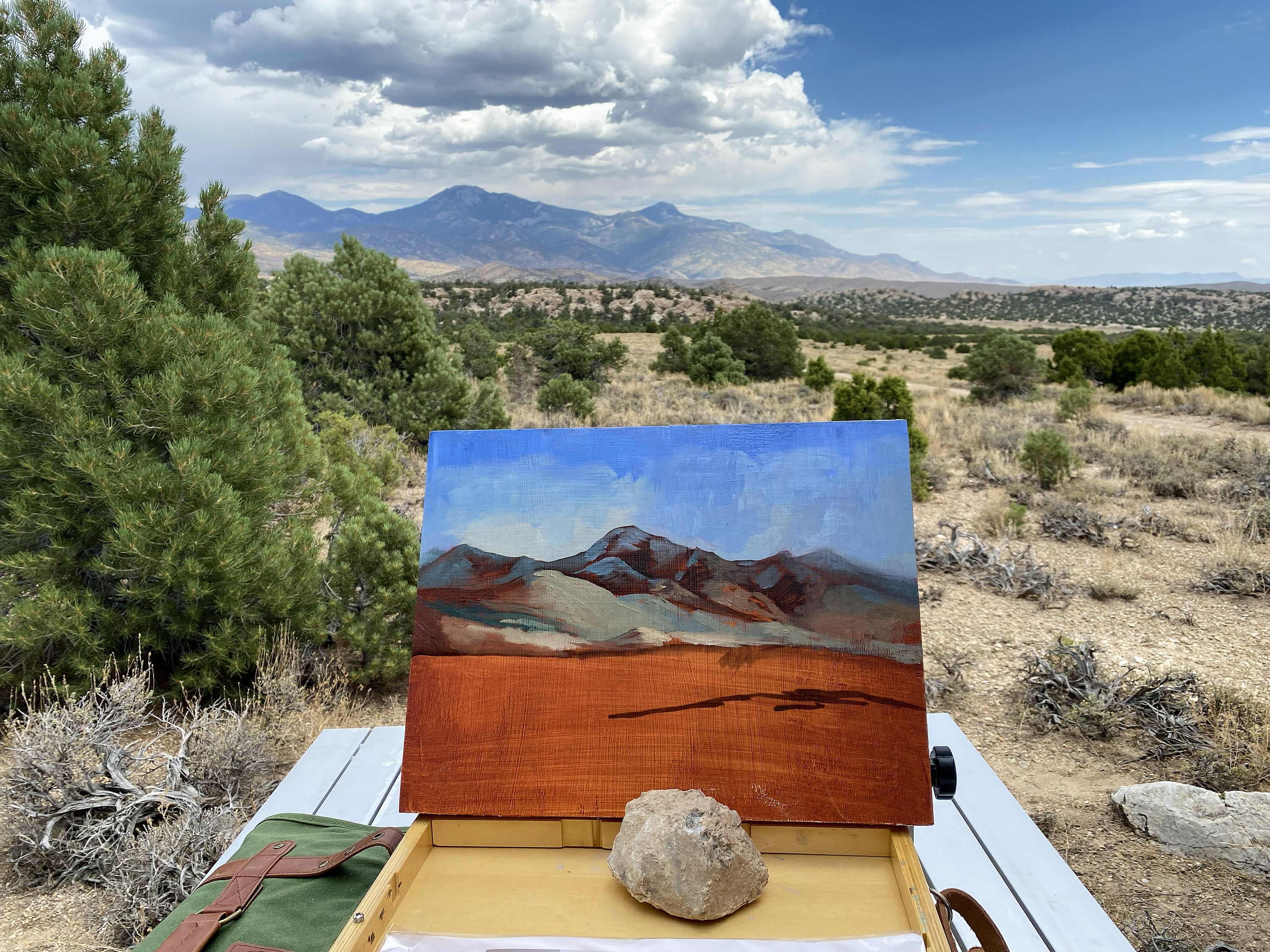 A painting of sagebrush and pinyon-juniper woodland, backed by mountains, in front of the scene being painted.