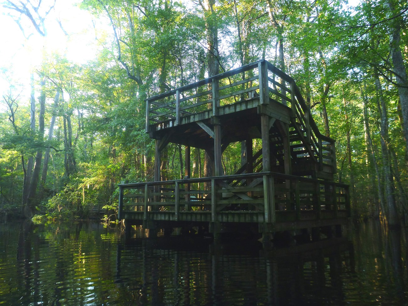 A fenced in, wooden platform sits above a boardwalk in a nest of trees.