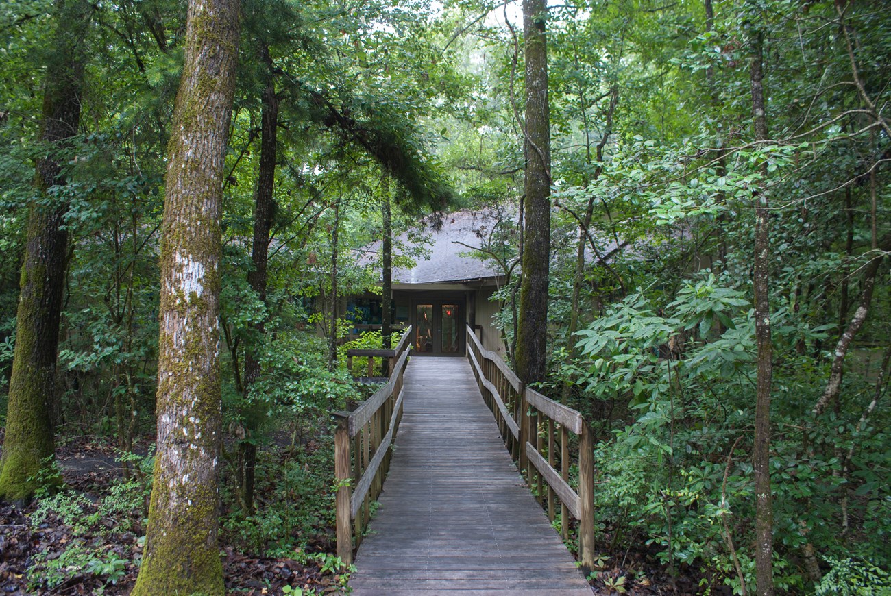 At the end of a wooden boardwalk surrounded by trees is a wooden building.