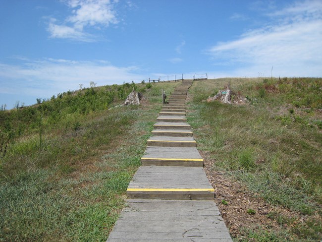 Ascent on Mound A, Poverty Point State Historic Site (August 2011).
