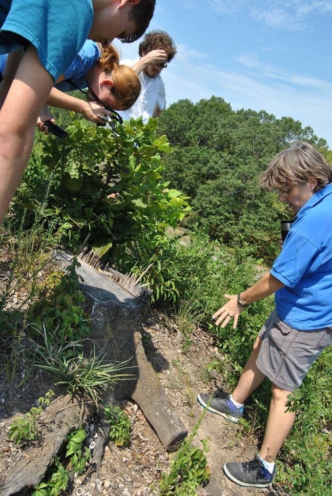Diana Greenlee discusses how dendrogeomorphology informs a Poverty Point earthwork stability study (August 2011).
