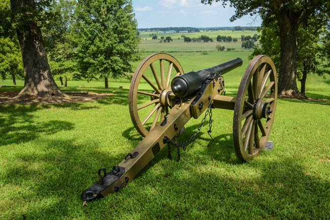 : A black cannon is centered in the picture and is pointed towards the open prairie. In the foreground, green grass stretches towards the distance. Dappled sunlight filters through the large trees off to the side of the photograph.