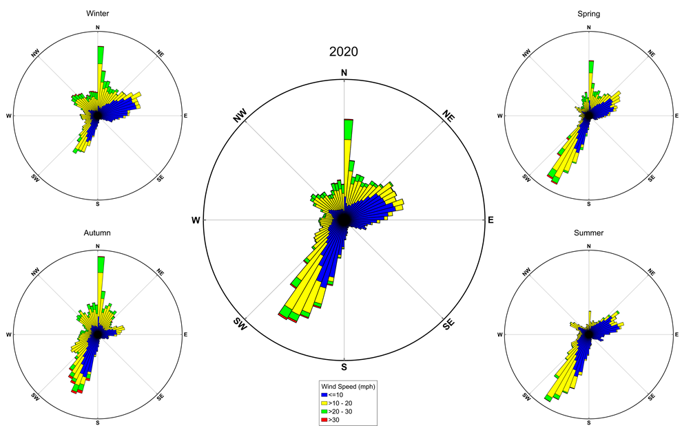 lt= wind roses for the year and the 4 seasons showing wind speed and direction at SAHI in 2020