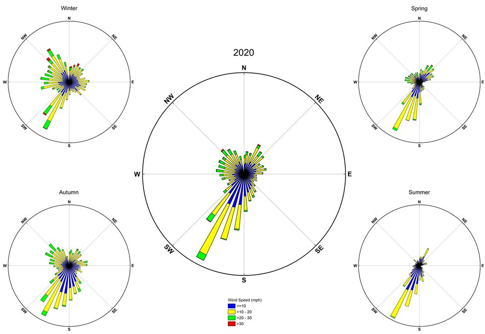 lt= wind roses for the year and the 4 seasons showing wind speed and direction at CACO in 2020