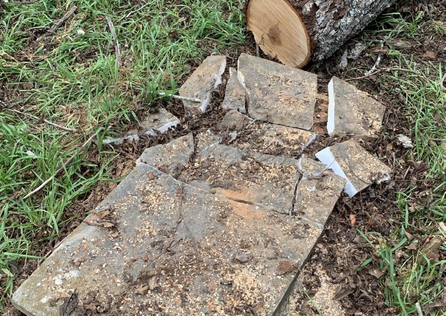 A stone is damaged from a toppled tree. A stone is damaged from a toppled tree.