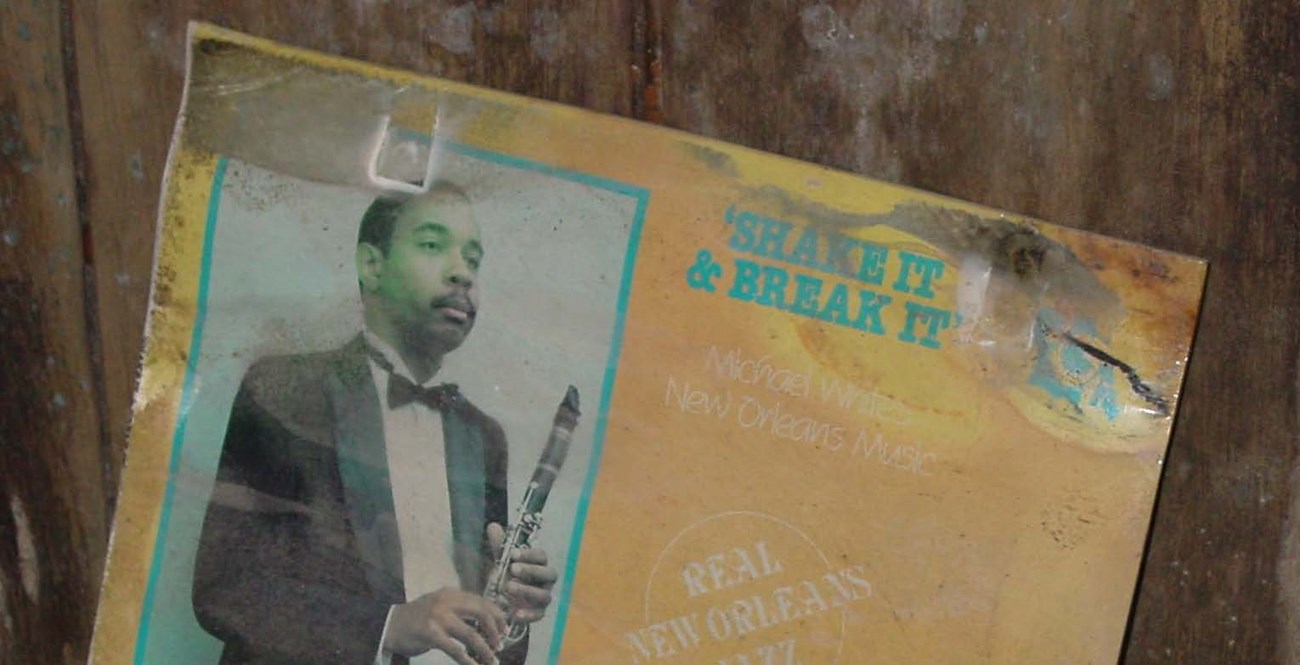 Mold on "Shake it & Break it" vinyl record cover