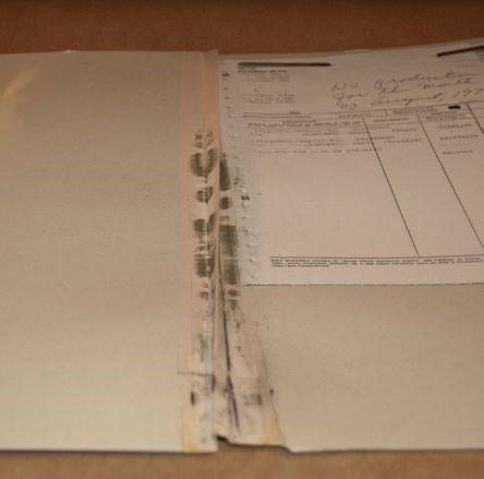 Document with visible black mold spores Document with visible black mold spores