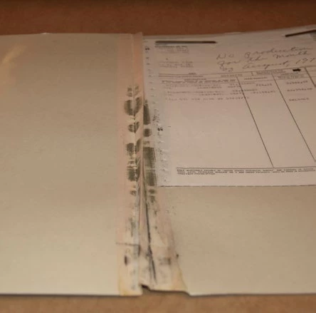 Document with visible black mold spores Document with visible black mold spores