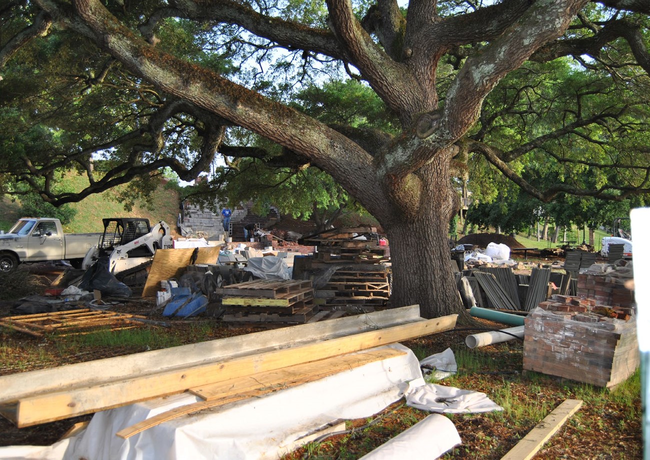 Construction supplies staged directly under the canopy of an aged and unprotected tree