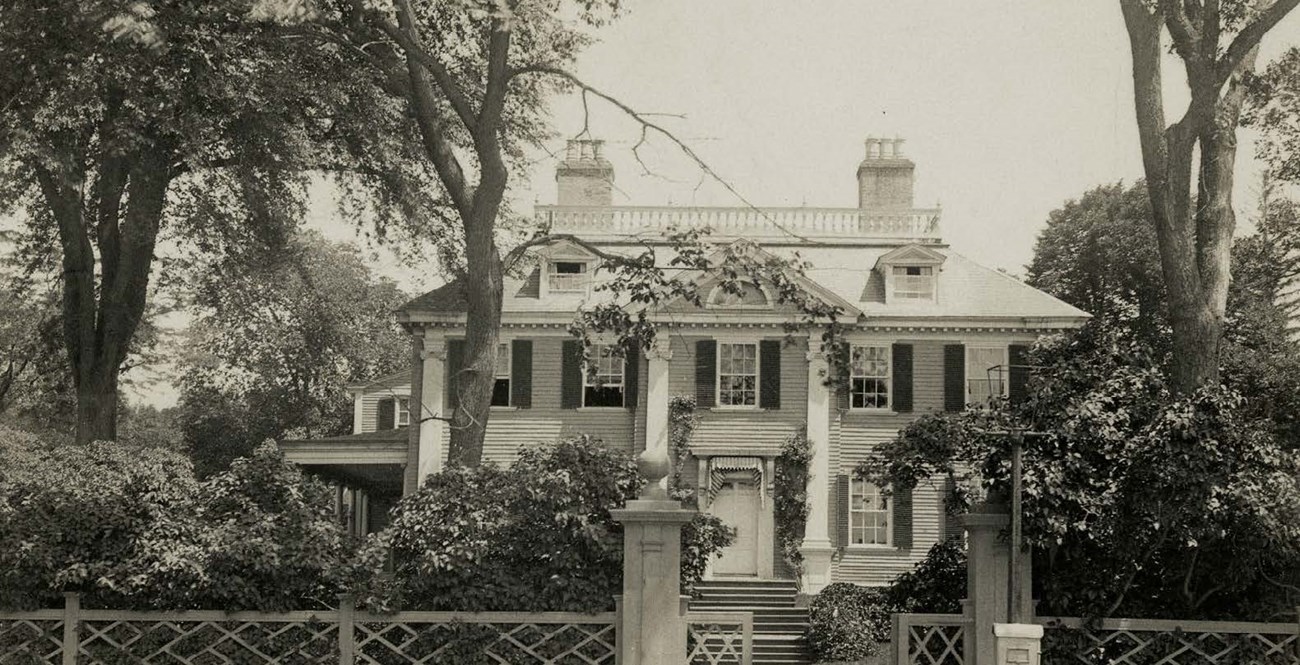South facade of Longfellow House and the American elms at the front entrance.
