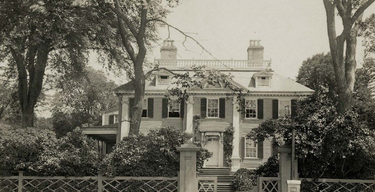 South facade of Longfellow House and the American elms at the front entrance. South facade of Longfellow House and the American elms at the front entrance.