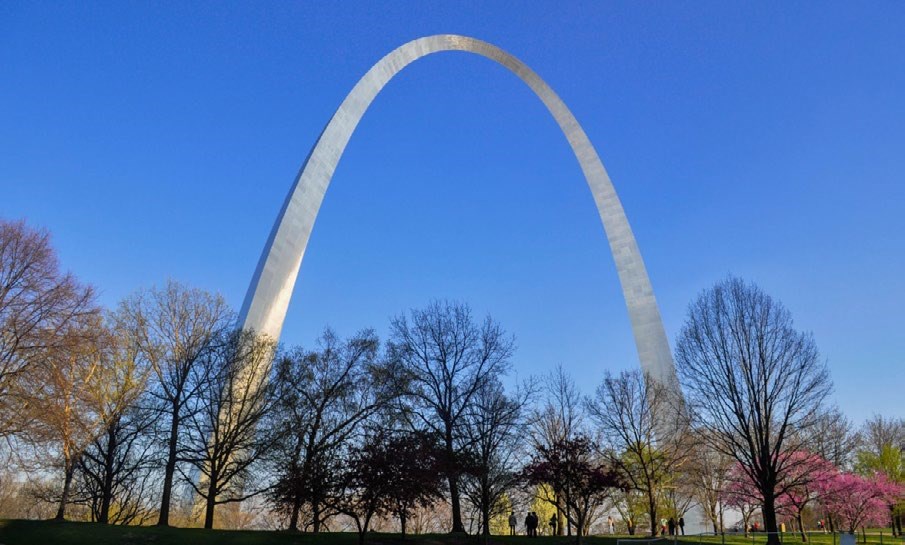 The original ash trees located at the Gateway Arch National Park The original ash trees located at the Gateway Arch National Park