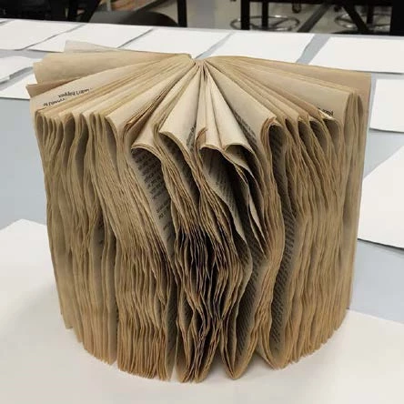 This series of photographs starts by showing how a wet book appears after being dried; the pages are extremely curled and warped and the book cannot be shut. This series of photographs starts by showing how a wet book appears after being dried; the pages are extremely curled and warped and the book cannot be shut.