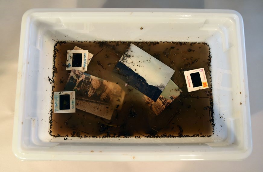 A large bin is filled with wet photographs in contaminated flood waters.