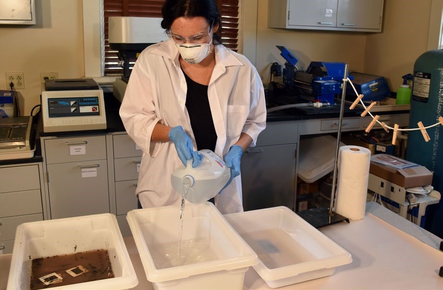 A preservationist is preparing a rinsing station by pouring distilled water into two adjacent tubs.