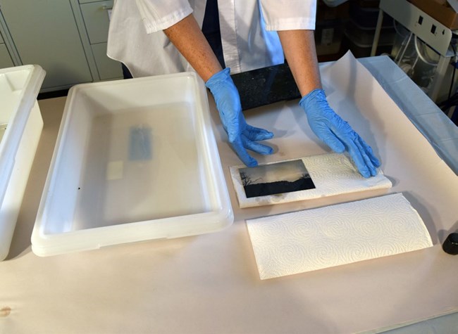 A preservationist demonstrates how to lay photographs flat on clean paper towels with the image facing up. A preservationist demonstrates how to lay photographs flat on clean paper towels with the image facing up.