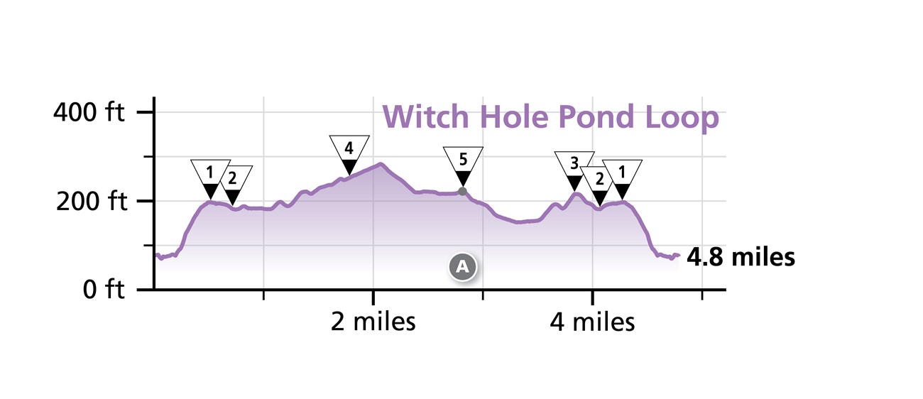 Elevation profile for Witch Hole Pond Loop Elevation profile for Witch Hole Pond Loop