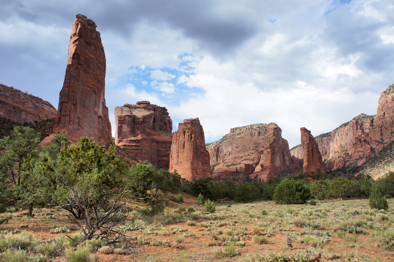 Pinyon–juniper woodland Woodland consisting of scattered, small-seeming trees at the base of a series of majestic red rock formations.
