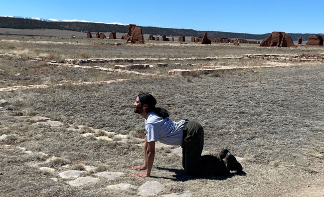 Park ranger doing Cow yoga pose, kneeling with arms extended and hands on ground and back arched downward.