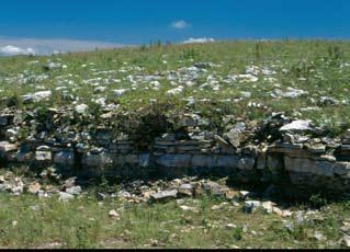 Exposed limestone outcrop topped with tall grass