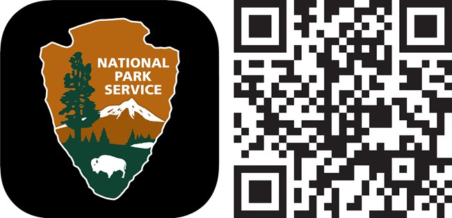 Collage containing a QR Code to access the NPS App on the right and NPS APP Icon on the left.