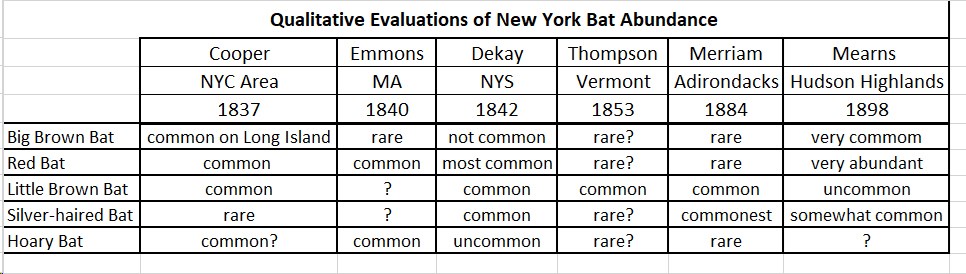 Quantitative Evaluations of Bats in NY