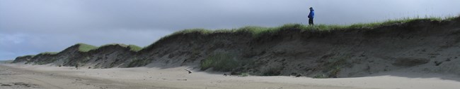 A man stands on a beach ridge that is eroded in Bering Land Bridge National Preserve