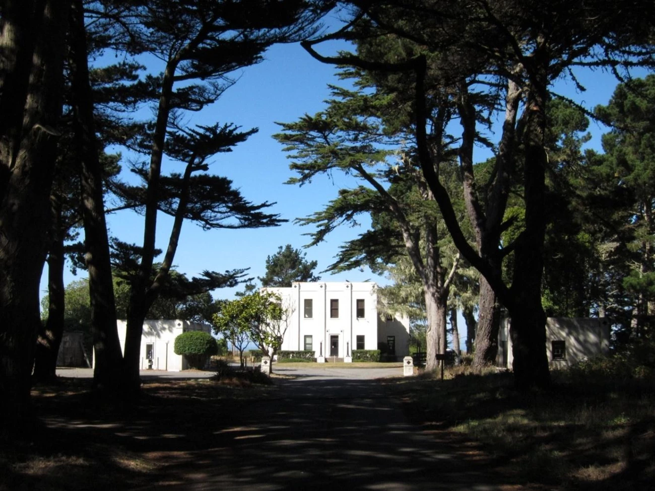 RCA Building framed by an allée of Monterey cypress tree, c. 2010. RCA Building framed by an allée of Monterey cypress tree, c. 2010.