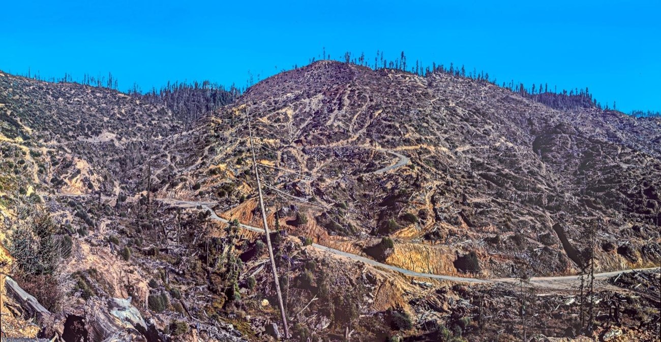 Nothing but stumps and a web of logging trails remain on an eroding, barren hillside.