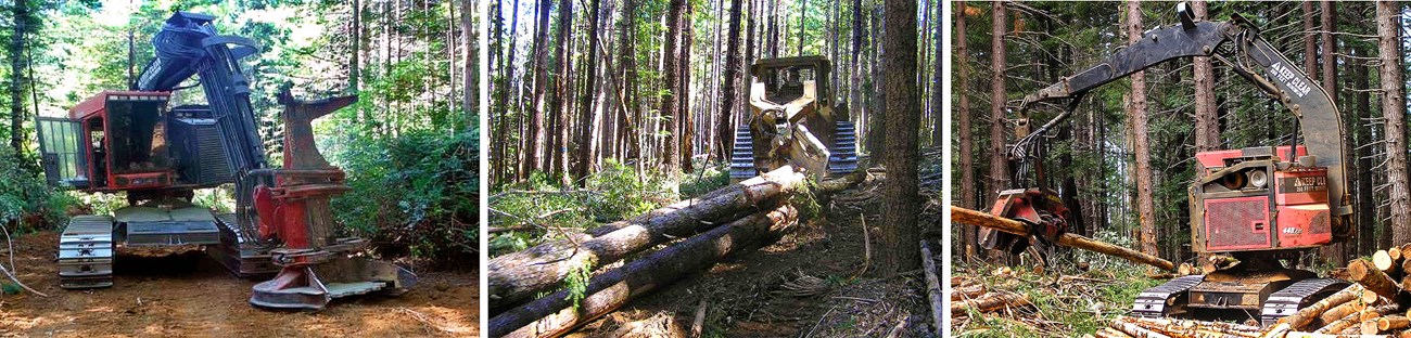Three images of different kinds of equipment: A red feller buncher with vertically oriented "jaws" at the end of a long arm; a skidder with tank-like treads dragging several tree trunks along the forest floor; and a processor loading logs onto a log truck
