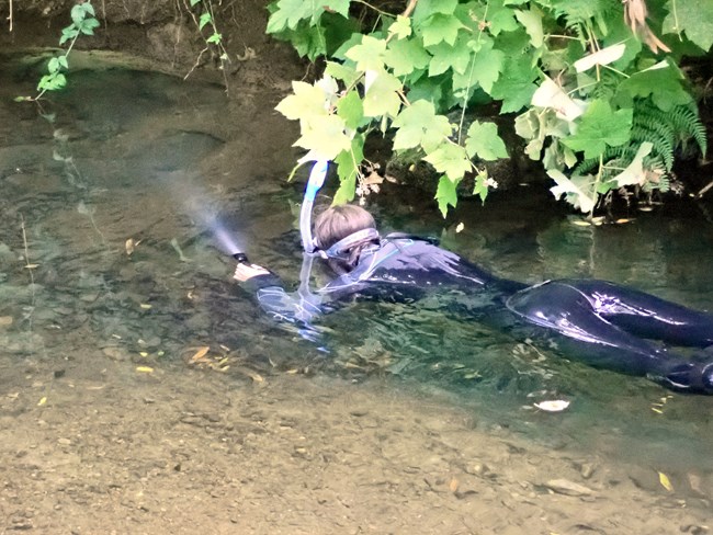 A person snorkeling.