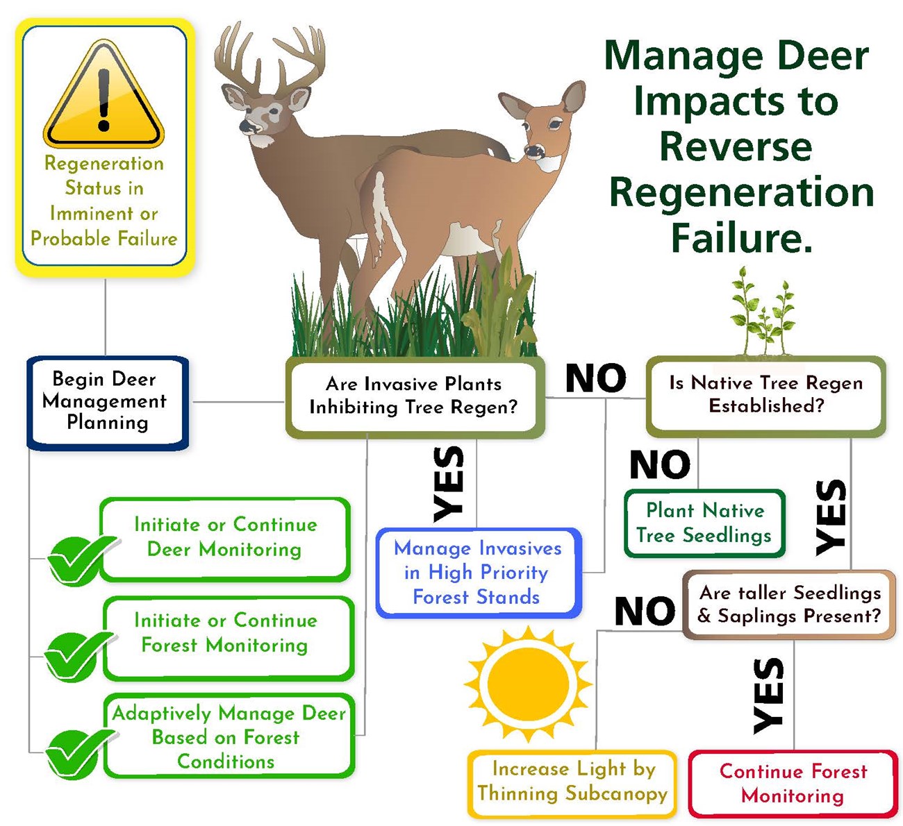 RFI deer flowchart