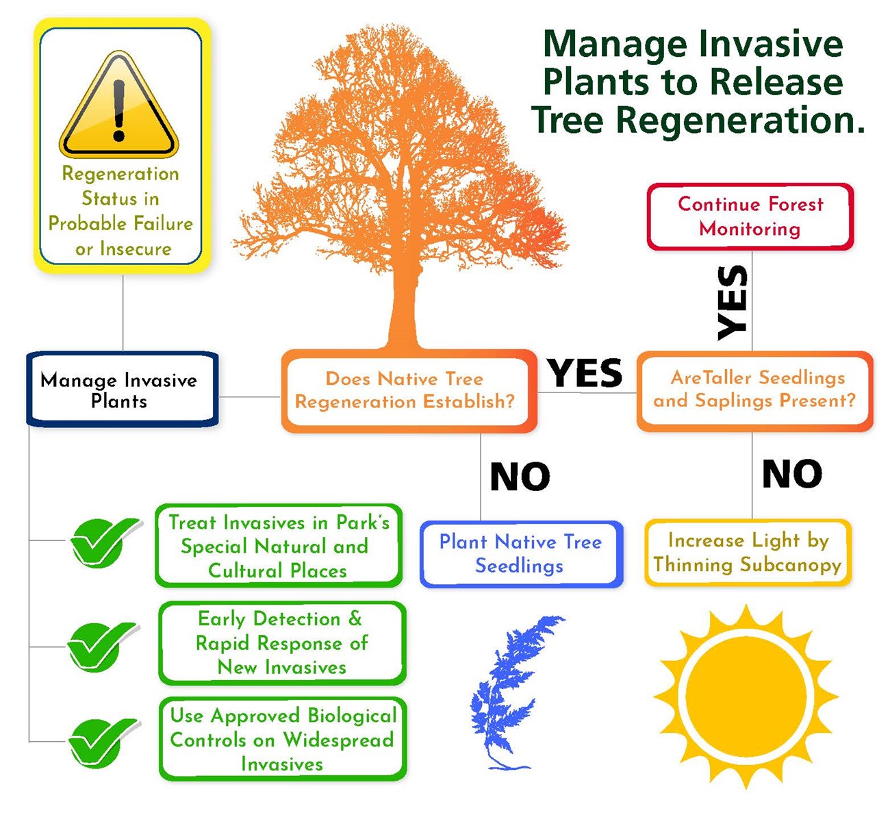 Manage invasive plants flowchart