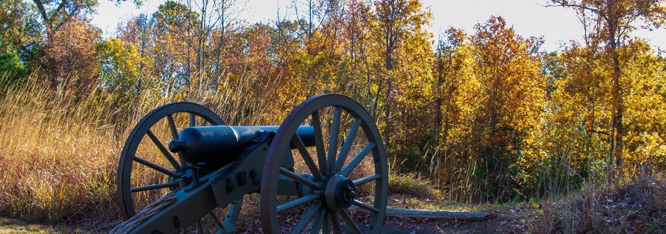 A black cannon with yellow fall foliage in the background.