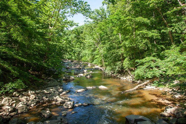Water flows over a rocky creek-bed and through a lush forest in Rock Creek Park.