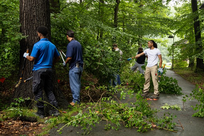 ROCR_Invasive Plant Removal_20250617_KGraczyk_008 Several young men clear brush and pile it on a paved trail.