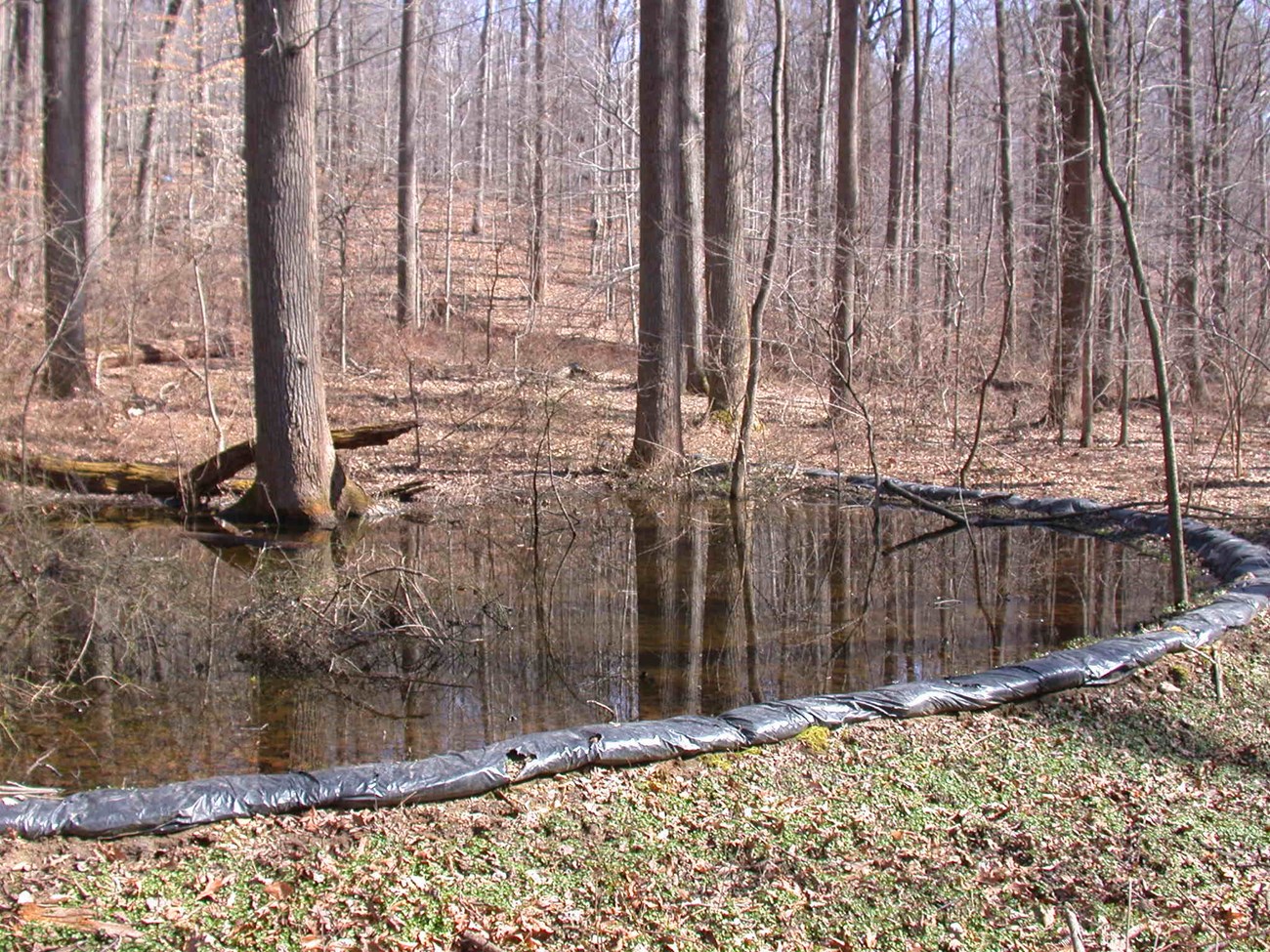 Sandbags are placed along a raised barrier, lining a wetland to hold water in.