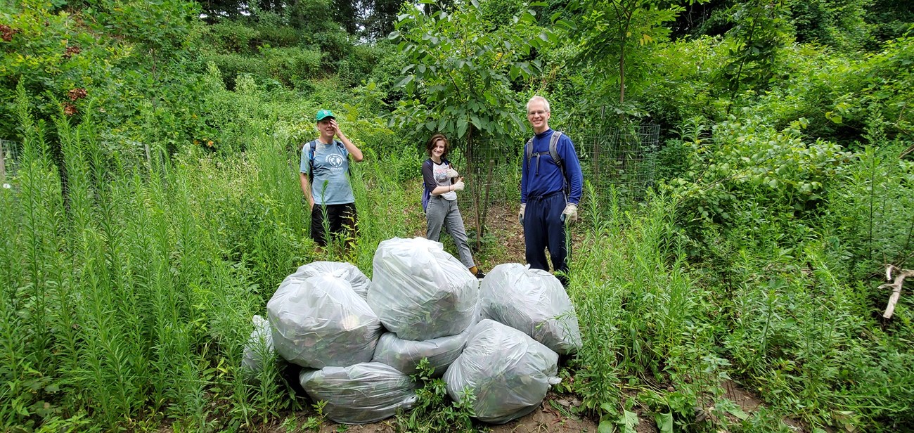 3 people stand behind a pile of 8 full trash bags in a densely vegetated area