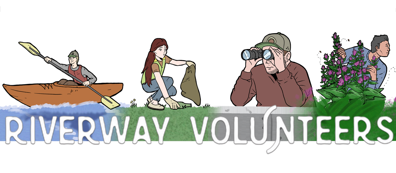 Riverway Volunteers Riverway Volunteer logo with four illustrations depicting volunteer roles: Kayak Krew (paddling), Watershed Waste Warrior (picking up trash), Discovery Aide (using binoculars), and Beetle Parent (observing beetles near Purple Loosestrife).