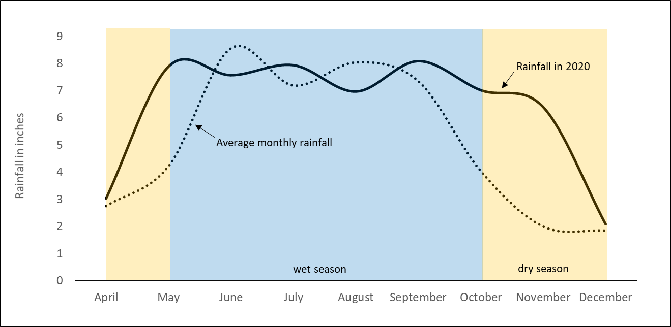 A line graph showing average monthly rainfall from April to December 2020.