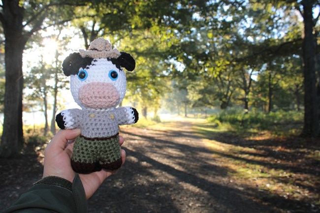 Hand holds Ranger Cow with a dirt road in the background