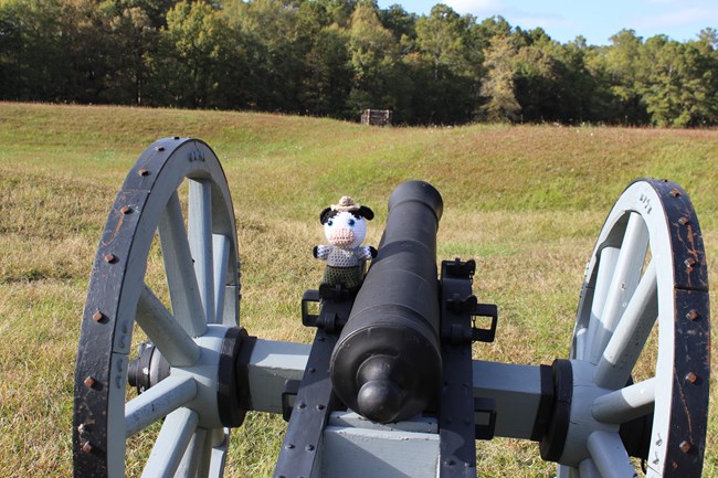 Ranger Cow sits on cannon