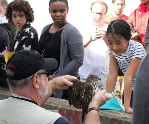 The Golden Gate Raptor Observatory A volunteer handles a small bird of prey in front of a large crowd.