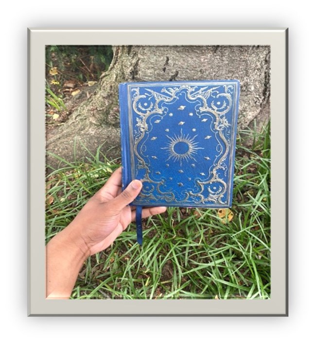 Journal pictured in grassy place where I laid A person's hand holding a blue/gold book with green grass and a tree stump in the background.