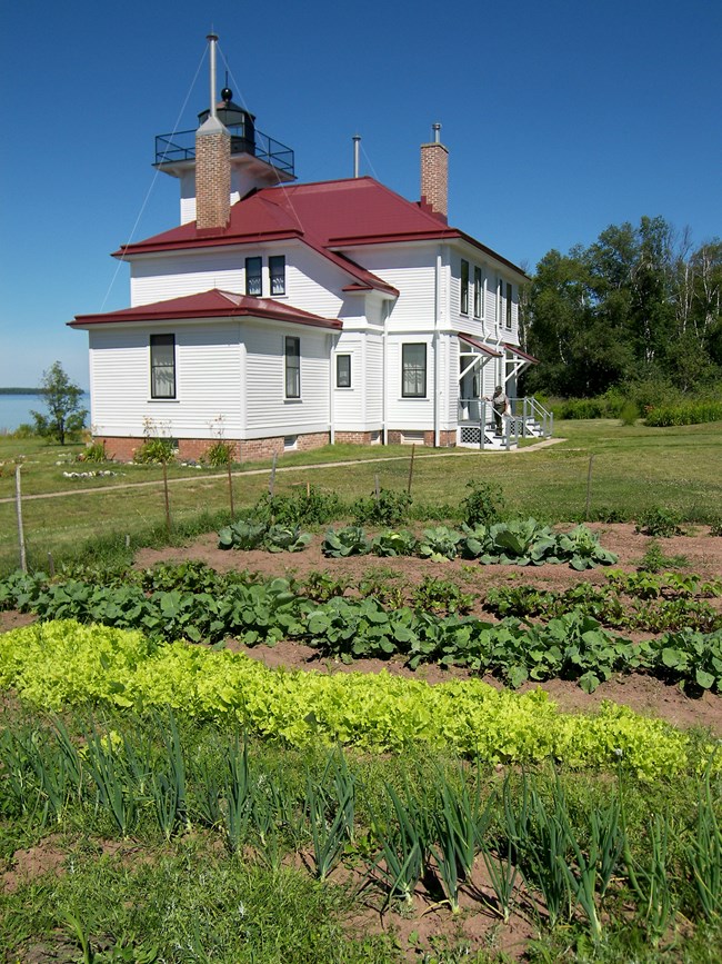 Raspberry Island garden. A black and white photo of a white lighthouse and gardens surrounding it.
