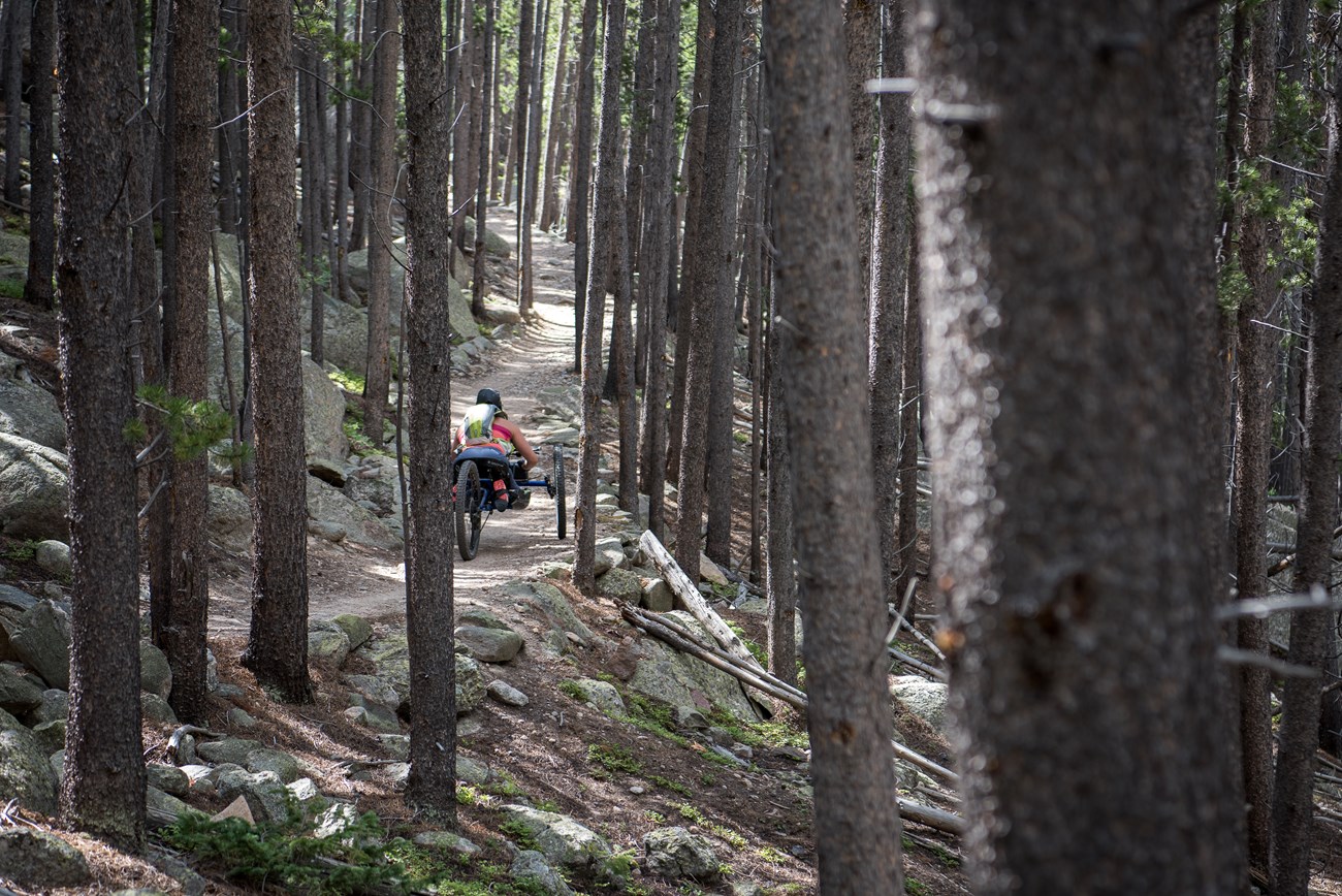 Lawn Lake a woman uses an adaptive wheelchair on a dirt trail through the trees