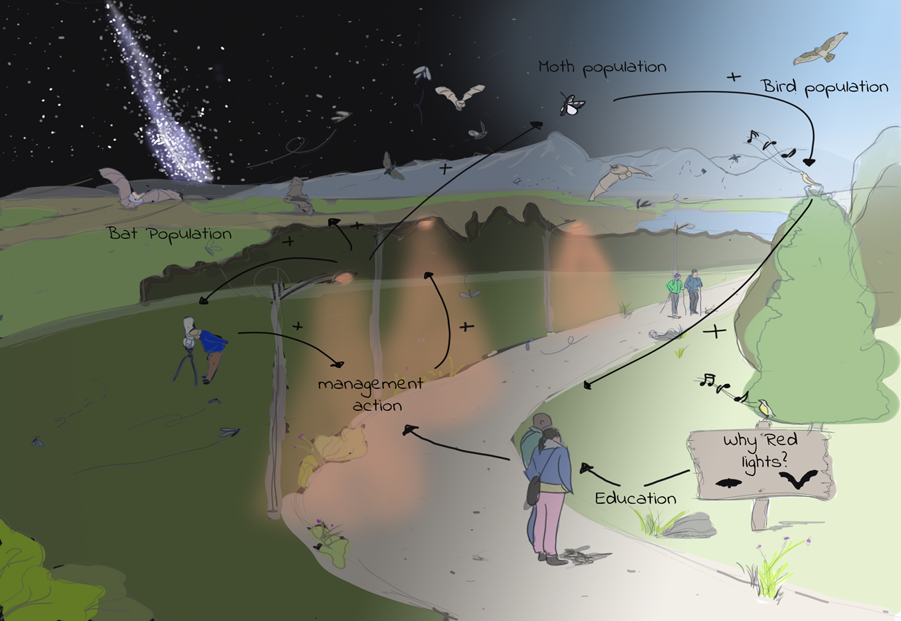 Lighting Infographic An animated infographic showing the effects of the lights.