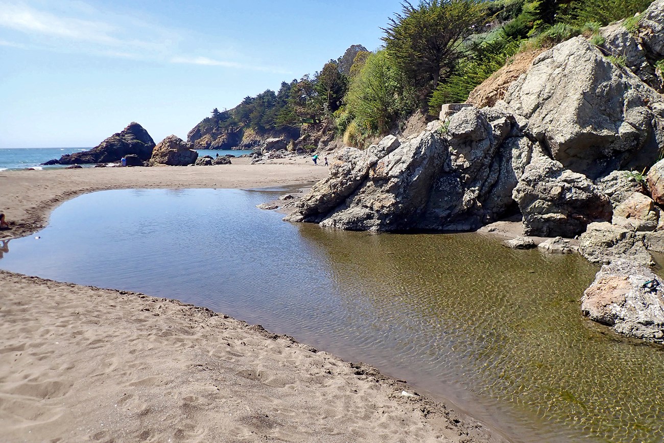 Redwood Creek flowing towards the ocean in April 2021 A clear creek flows toward a blue ocean. The creek is blocked by a sand bar on the ocean side, seen in the distance.