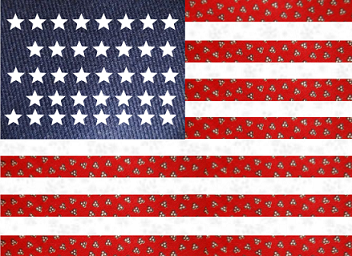 Turkey calico, white calico, and serge blue American flag- a replica of the 1870, York, NE first, 4th of July American flag.